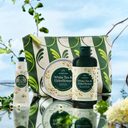 هدية أساسيات زهرة البلسان و الشاي الأبيض