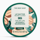 Shea Lip Butter