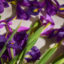 عطر زهرة السوسن