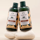 Shea Intense Repair Shampoo