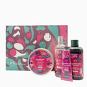 Medium Gift Sugar Plum